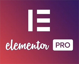 Logo von Elementor
